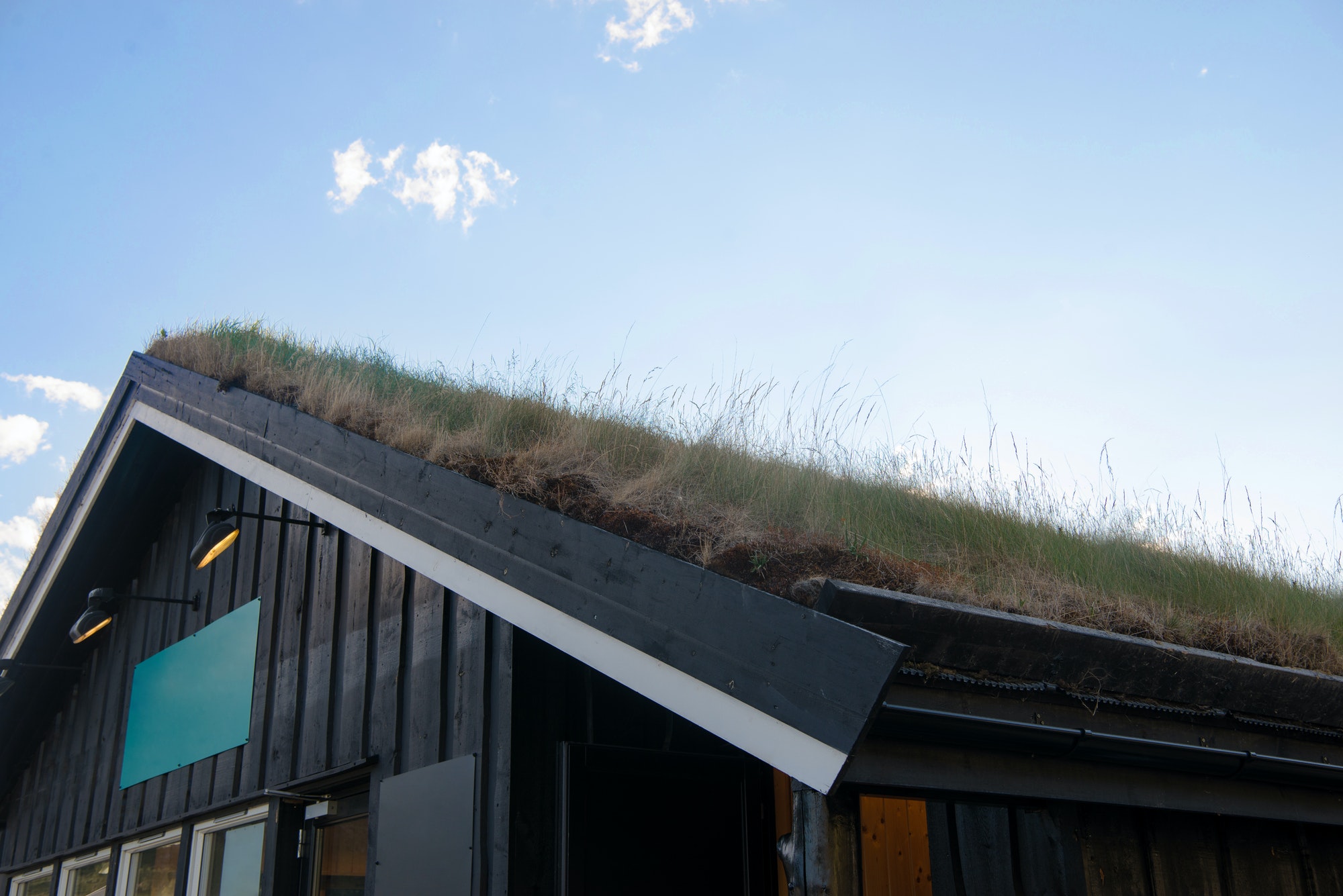 cozy wooden house with green grass on roof against blue sky, Besseggen ridge, Jotunheimen National